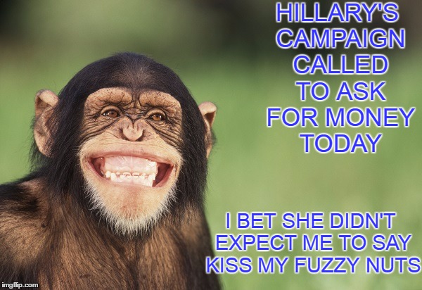 Smiling chimp | HILLARY'S CAMPAIGN CALLED TO ASK FOR MONEY TODAY; I BET SHE DIDN'T EXPECT ME TO SAY KISS MY FUZZY NUTS | image tagged in smiling chimp | made w/ Imgflip meme maker