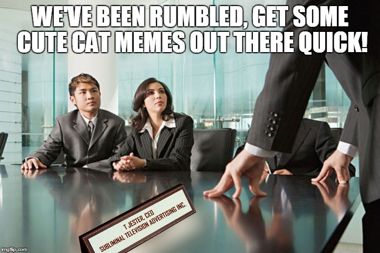 WE'VE BEEN RUMBLED, GET SOME CUTE CAT MEMES OUT THERE QUICK! | made w/ Imgflip meme maker