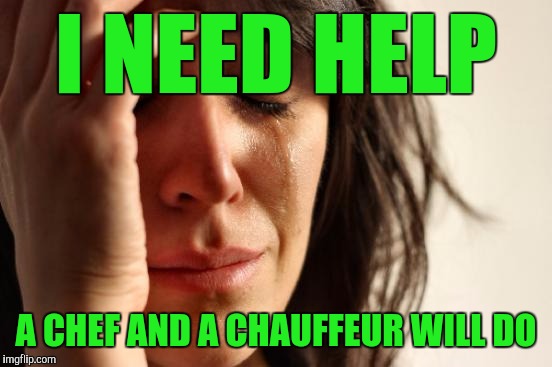 First World Problems | I NEED HELP; A CHEF AND A CHAUFFEUR WILL DO | image tagged in memes,first world problems | made w/ Imgflip meme maker