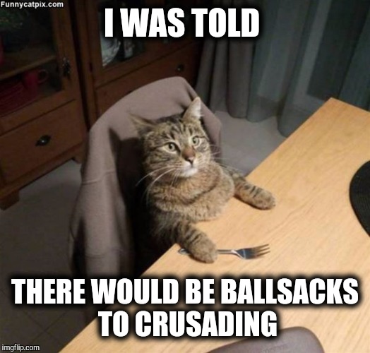 Kitty fork | I WAS TOLD THERE WOULD BE BALLSACKS TO CRUSADING | image tagged in kitty fork | made w/ Imgflip meme maker