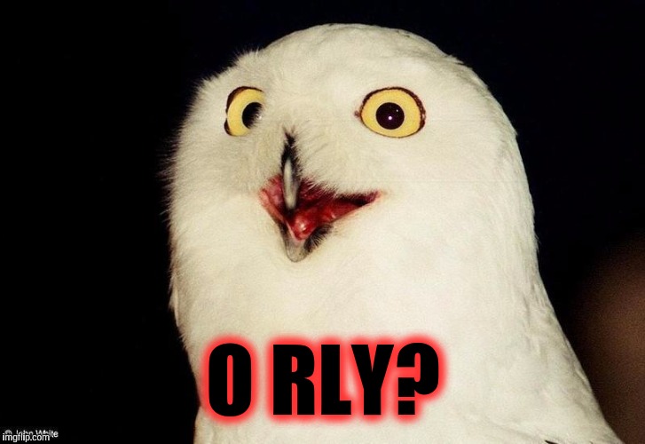 O RLY? | made w/ Imgflip meme maker