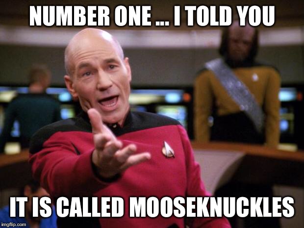 Patrick Stewart "why the hell..." | NUMBER ONE ... I TOLD YOU; IT IS CALLED MOOSEKNUCKLES | image tagged in patrick stewart why the hell | made w/ Imgflip meme maker