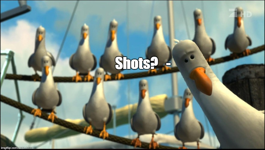 Yes Please | Shots?   - | image tagged in shots,mine,finding nemo,seagulls | made w/ Imgflip meme maker