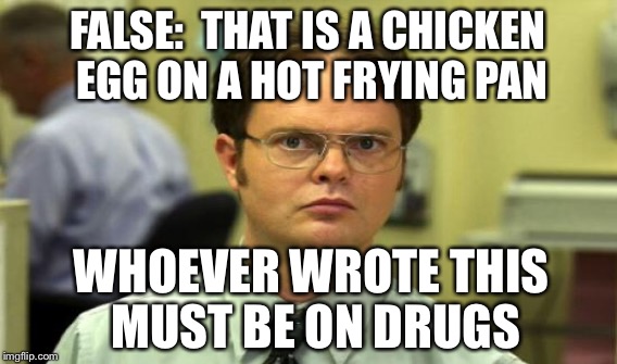 FALSE:  THAT IS A CHICKEN EGG ON A HOT FRYING PAN WHOEVER WROTE THIS MUST BE ON DRUGS | made w/ Imgflip meme maker