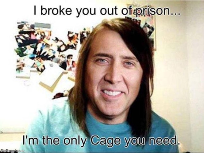 This is not my picture, but very funny | image tagged in meme,funny,cage,overly attached girlfriend | made w/ Imgflip meme maker