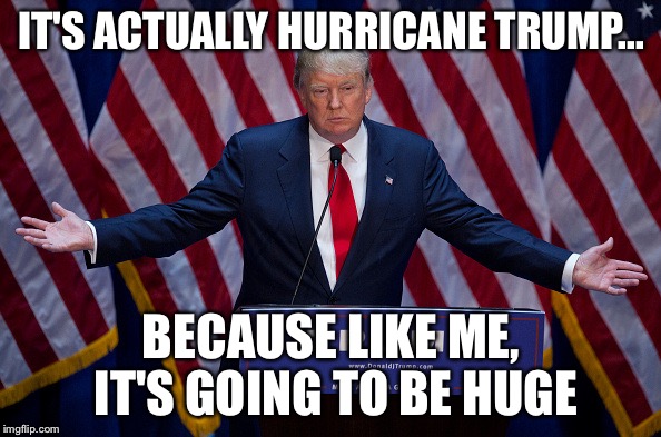 Donald Trump | IT'S ACTUALLY HURRICANE TRUMP... BECAUSE LIKE ME, IT'S GOING TO BE HUGE | image tagged in donald trump | made w/ Imgflip meme maker
