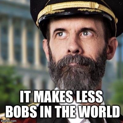 IT MAKES LESS BOBS IN THE WORLD | made w/ Imgflip meme maker