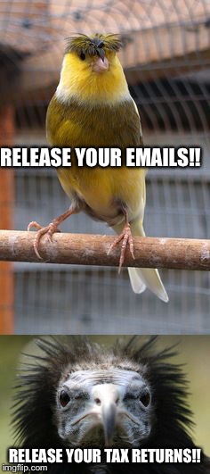 Ugly bird fight | RELEASE YOUR EMAILS!! RELEASE YOUR TAX RETURNS!! | image tagged in donald trump,hilary clinton,politics,memes | made w/ Imgflip meme maker