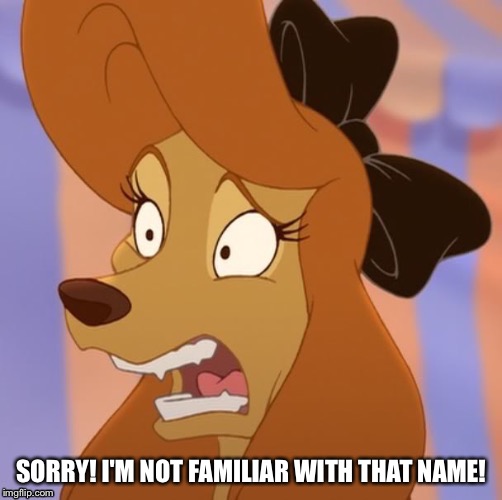Sorry! I'm Not Familiar With That Name! | SORRY! I'M NOT FAMILIAR WITH THAT NAME! | image tagged in mind blown dixie,memes,disney,the fox and the hound 2,reba mcentire,dog | made w/ Imgflip meme maker