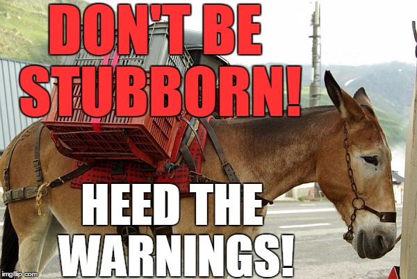 DON'T BE STUBBORN! HEED THE WARNINGS! | image tagged in mule | made w/ Imgflip meme maker