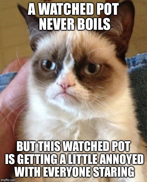 Grumpy Cat | A WATCHED POT NEVER BOILS; BUT THIS WATCHED POT IS GETTING A LITTLE ANNOYED WITH EVERYONE STARING | image tagged in memes,grumpy cat | made w/ Imgflip meme maker