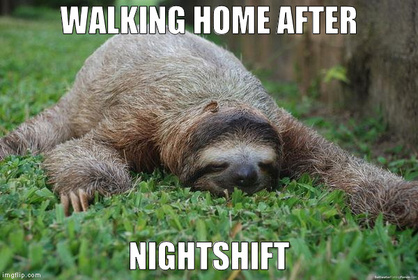 Sleeping sloth |  WALKING HOME AFTER; NIGHTSHIFT | image tagged in sleeping sloth | made w/ Imgflip meme maker