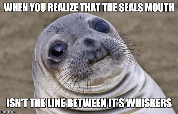 My faith in humanity is failing- It's the notch just beneath that | WHEN YOU REALIZE THAT THE SEALS MOUTH; ISN'T THE LINE BETWEEN IT'S WHISKERS | image tagged in memes,awkward moment sealion,wtf | made w/ Imgflip meme maker