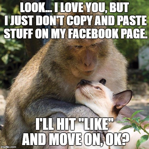 Copy This |  LOOK... I LOVE YOU, BUT I JUST DON'T COPY AND PASTE STUFF ON MY FACEBOOK PAGE. I'LL HIT "LIKE" AND MOVE ON, OK? | image tagged in facebook,humor | made w/ Imgflip meme maker