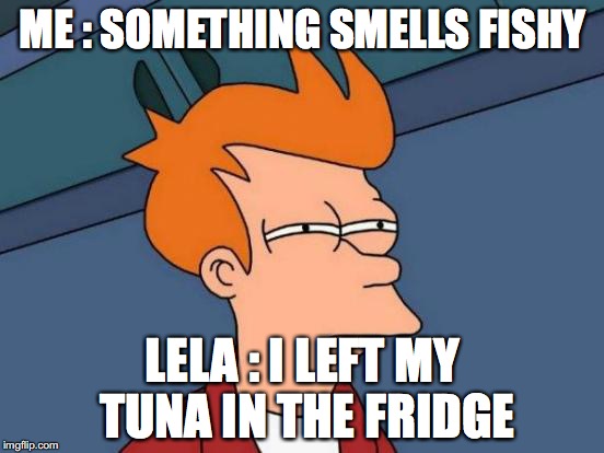 Futurama Fry Meme | ME : SOMETHING SMELLS FISHY; LELA : I LEFT MY TUNA IN THE FRIDGE | image tagged in memes,futurama fry | made w/ Imgflip meme maker