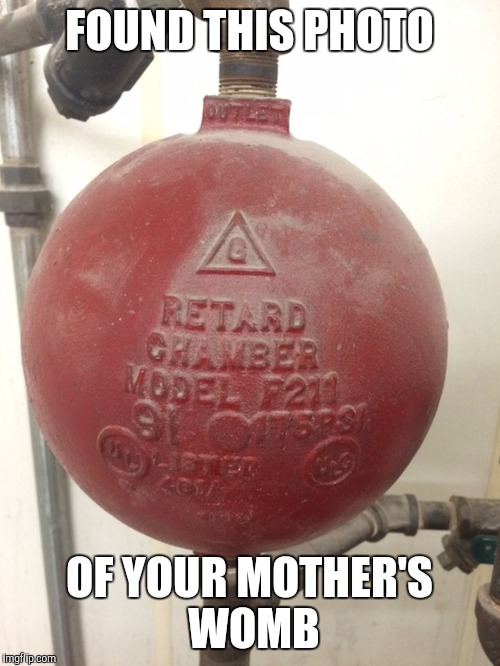 FOUND THIS PHOTO; OF YOUR MOTHER'S WOMB | image tagged in womb,rearded,mother's belly,mother | made w/ Imgflip meme maker