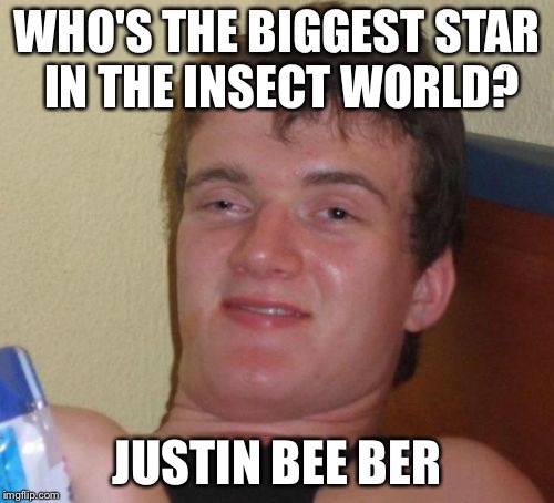 10 Guy Meme | WHO'S THE BIGGEST STAR IN THE INSECT WORLD? JUSTIN BEE BER | image tagged in memes,10 guy | made w/ Imgflip meme maker