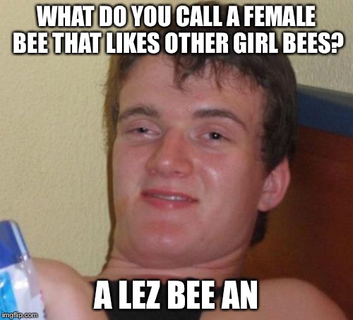 10 Guy | WHAT DO YOU CALL A FEMALE BEE THAT LIKES OTHER GIRL BEES? A LEZ BEE AN | image tagged in memes,10 guy | made w/ Imgflip meme maker