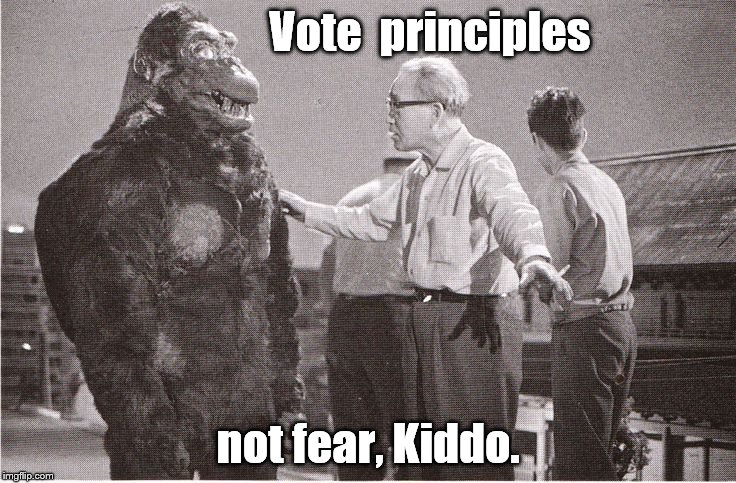 Kong with Director | Vote  principles; not fear, Kiddo. | image tagged in kong with director | made w/ Imgflip meme maker