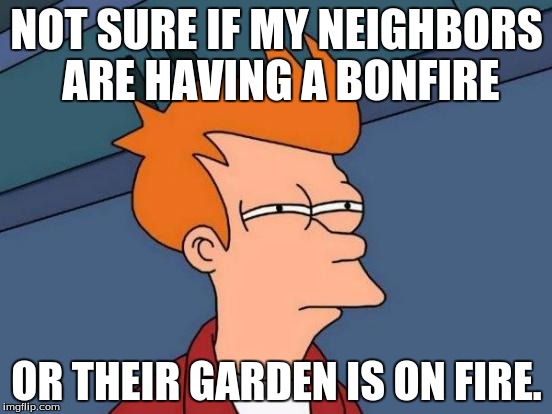 Futurama Fry | NOT SURE IF MY NEIGHBORS ARE HAVING A BONFIRE; OR THEIR GARDEN IS ON FIRE. | image tagged in memes,futurama fry | made w/ Imgflip meme maker