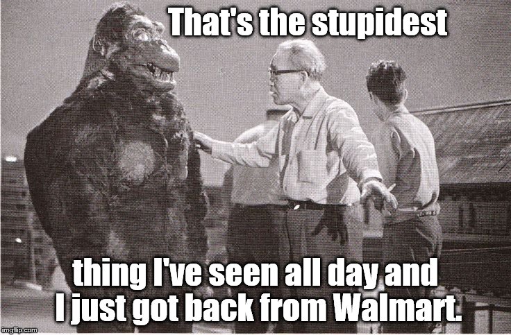 Kong with Director | That's the stupidest thing I've seen all day and I just got back from Walmart. | image tagged in kong with director | made w/ Imgflip meme maker