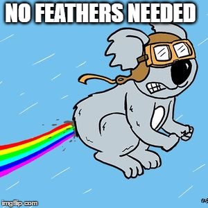 NO FEATHERS NEEDED | made w/ Imgflip meme maker