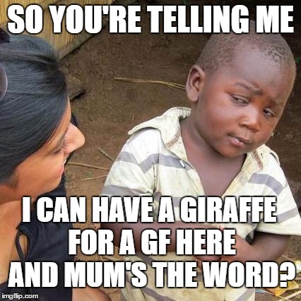 Third World Skeptical Kid Meme | SO YOU'RE TELLING ME I CAN HAVE A GIRAFFE FOR A GF HERE AND MUM'S THE WORD? | image tagged in memes,third world skeptical kid | made w/ Imgflip meme maker