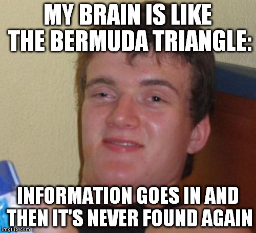 10 Guy Meme | MY BRAIN IS LIKE THE BERMUDA TRIANGLE:; INFORMATION GOES IN AND THEN IT'S NEVER FOUND AGAIN | image tagged in memes,10 guy | made w/ Imgflip meme maker