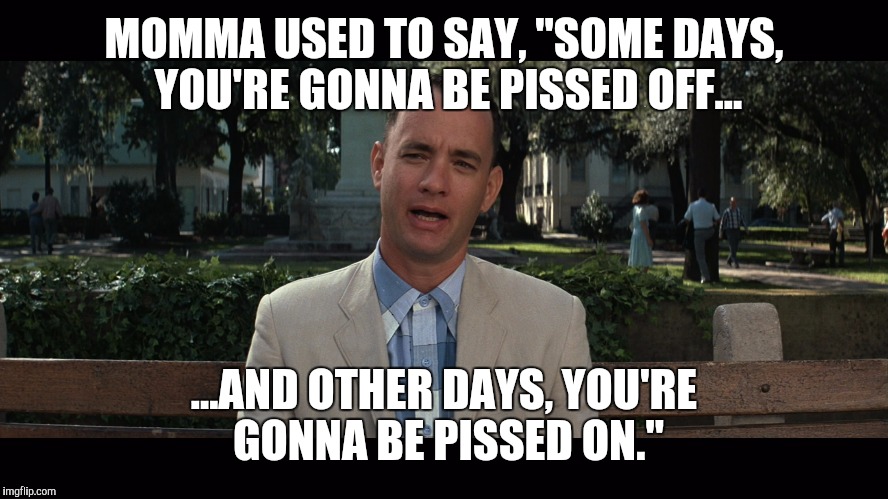 Momma was a smart woman | MOMMA USED TO SAY, "SOME DAYS, YOU'RE GONNA BE PISSED OFF... ...AND OTHER DAYS, YOU'RE GONNA BE PISSED ON." | image tagged in forrest gump,momma always said,lifes little lessons,nsfw | made w/ Imgflip meme maker