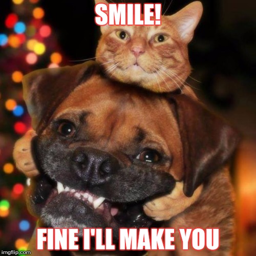 dogs an cats | SMILE! FINE I'LL MAKE YOU | image tagged in dogs an cats | made w/ Imgflip meme maker