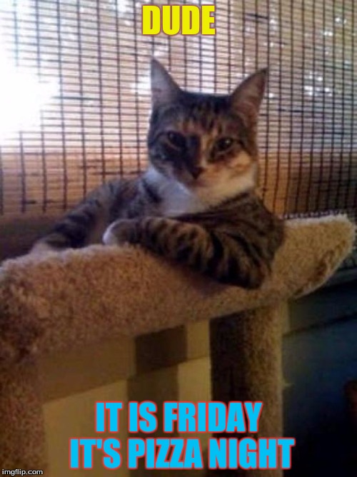 cats | DUDE; IT IS FRIDAY IT'S PIZZA NIGHT | image tagged in cats | made w/ Imgflip meme maker