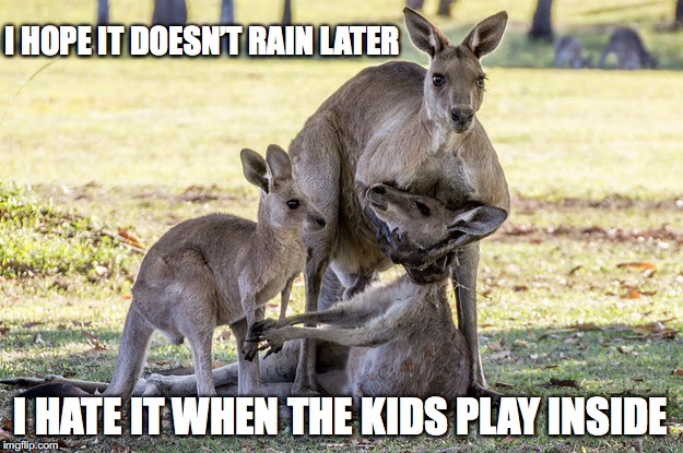 Rain, Rain | I HOPE IT DOESN’T RAIN LATER; I HATE IT WHEN THE KIDS PLAY INSIDE | image tagged in kangaroo | made w/ Imgflip meme maker