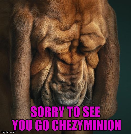 SORRY TO SEE YOU GO CHEZYMINION | made w/ Imgflip meme maker