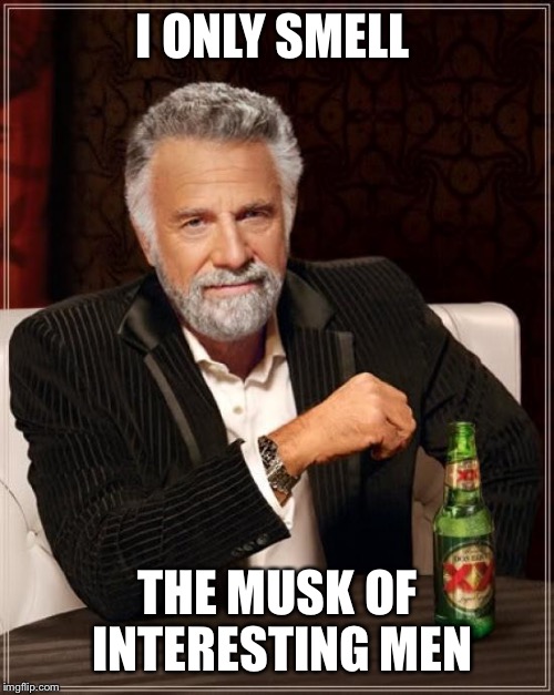 The Most Interesting Man In The World Meme | I ONLY SMELL THE MUSK OF INTERESTING MEN | image tagged in memes,the most interesting man in the world | made w/ Imgflip meme maker