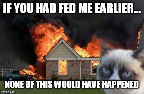 Burn Kitty Meme | IF YOU HAD FED ME EARLIER... NONE OF THIS WOULD HAVE HAPPENED | image tagged in memes,burn kitty | made w/ Imgflip meme maker