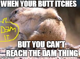 DAM it!  lol | WHEN YOUR BUTT ITCHES; BUT YOU CAN'T REACH THE DAM THING | image tagged in itch | made w/ Imgflip meme maker