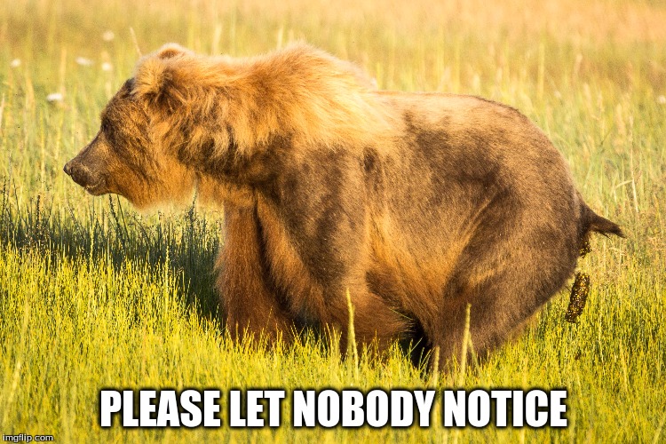 Bear Pooping | PLEASE LET NOBODY NOTICE | image tagged in bear,poop,butt | made w/ Imgflip meme maker