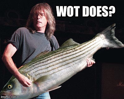 Bass guitar pun | WOT DOES? | image tagged in bass guitar pun | made w/ Imgflip meme maker