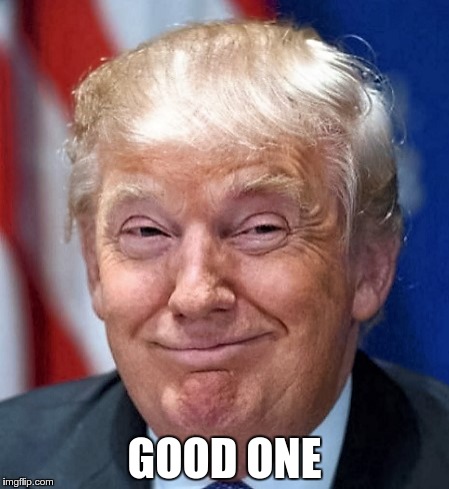 GOOD ONE | image tagged in donald trump | made w/ Imgflip meme maker