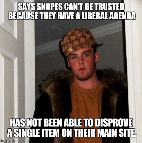 SAYS SNOPES CAN'T BE TRUSTED BECAUSE THEY HAVE A LIBERAL AGENDA HAS NOT BEEN ABLE TO DISPROVE A SINGLE ITEM ON THEIR MAIN SITE. | made w/ Imgflip meme maker