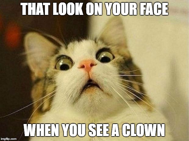 Scared Cat Meme | THAT LOOK ON YOUR FACE; WHEN YOU SEE A CLOWN | image tagged in memes,scared cat | made w/ Imgflip meme maker