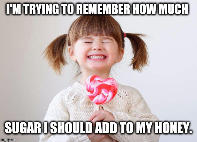 I'M TRYING TO REMEMBER HOW MUCH SUGAR I SHOULD ADD TO MY HONEY. | made w/ Imgflip meme maker