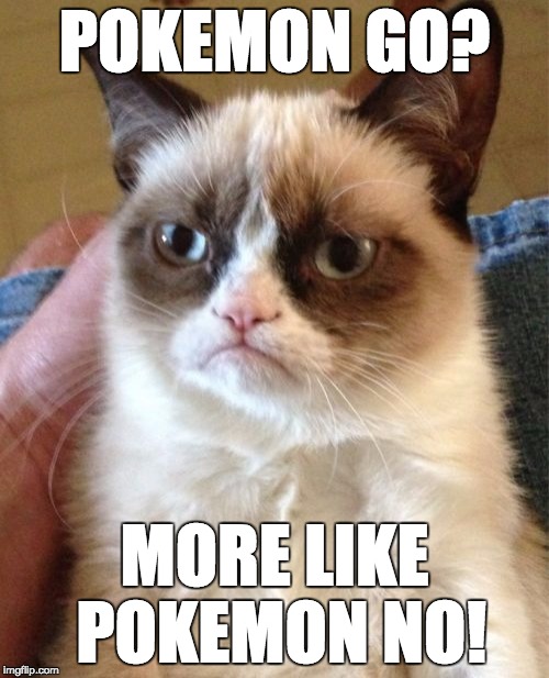 Grumpy Cat | POKEMON GO? MORE LIKE POKEMON NO! | image tagged in memes,grumpy cat | made w/ Imgflip meme maker