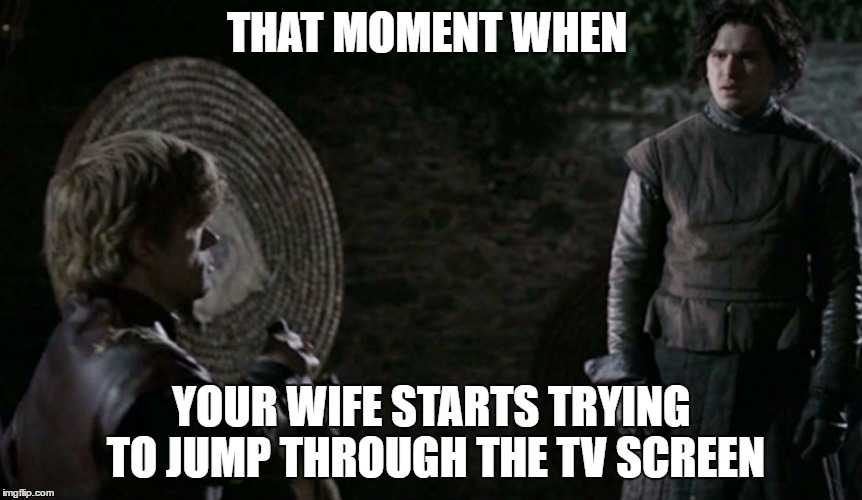 THAT MOMENT WHEN; YOUR WIFE STARTS TRYING TO JUMP THROUGH THE TV SCREEN | image tagged in john snow and tyrion | made w/ Imgflip meme maker
