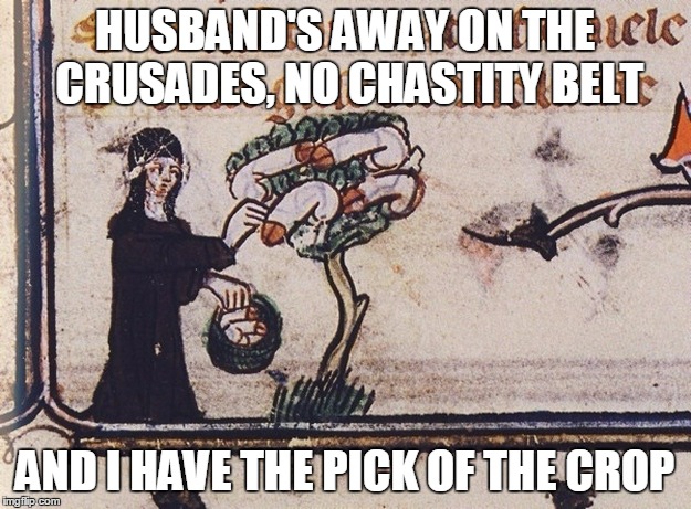now I must speak with the doctor about obtaining some contraceptive leeches | HUSBAND'S AWAY ON THE CRUSADES, NO CHASTITY BELT; AND I HAVE THE PICK OF THE CROP | image tagged in medieval,medieval meme,medieval musings,historical meme,meme | made w/ Imgflip meme maker