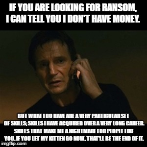 Liam Neeson Taken | IF YOU ARE LOOKING FOR RANSOM, I CAN TELL YOU I DON'T HAVE MONEY. BUT WHAT I DO HAVE ARE A VERY PARTICULAR SET OF SKILLS; SKILLS I HAVE ACQUIRED OVER A VERY LONG CAREER. SKILLS THAT MAKE ME A NIGHTMARE FOR PEOPLE LIKE YOU. IF YOU LET MY KITTEN GO NOW, THAT'LL BE THE END OF IT. | image tagged in memes,liam neeson taken | made w/ Imgflip meme maker