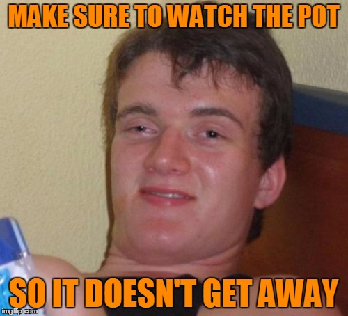 10 Guy Meme | MAKE SURE TO WATCH THE POT SO IT DOESN'T GET AWAY | image tagged in memes,10 guy | made w/ Imgflip meme maker
