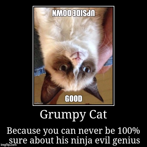 Never quite sure if he's using reverse psychology | image tagged in demotivationals,motivational,grumpy cat,evil,genius | made w/ Imgflip demotivational maker