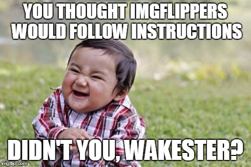 Evil Toddler Meme | YOU THOUGHT IMGFLIPPERS WOULD FOLLOW INSTRUCTIONS DIDN'T YOU, WAKESTER? | image tagged in memes,evil toddler | made w/ Imgflip meme maker