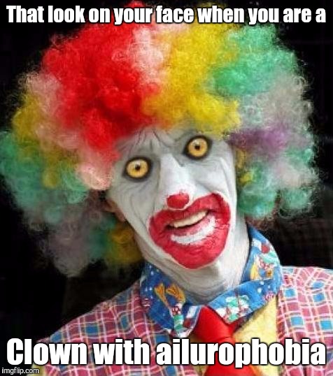 That look on your face when you are a Clown with ailurophobia | made w/ Imgflip meme maker